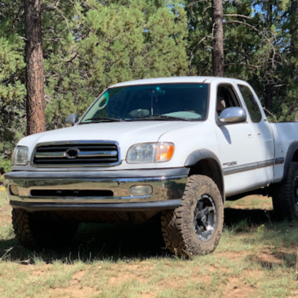 Meet your Posher, Tess